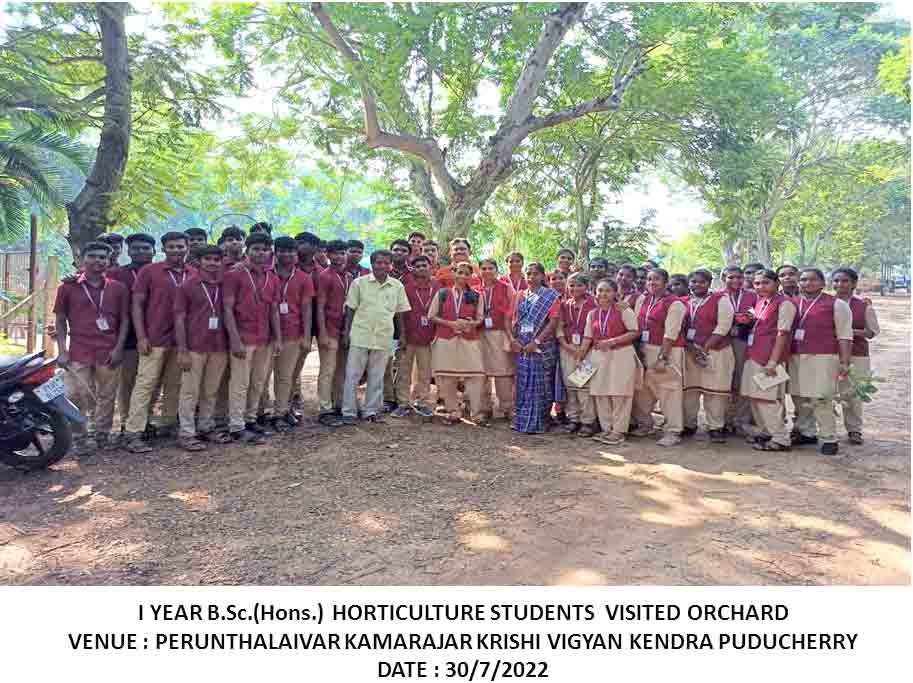 trimming and plastering of paddy field by the students