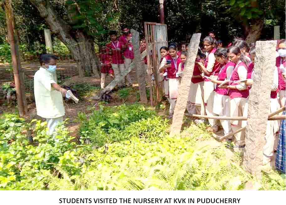 trimming and plastering of paddy field by the students