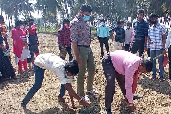 fertilizer_application_by_the_students_in_paddy_field_1