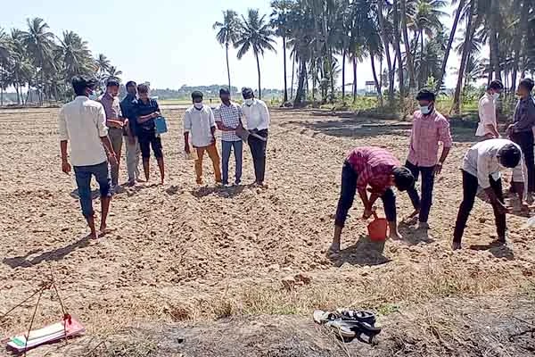 trimming and plastering of paddy field by the students