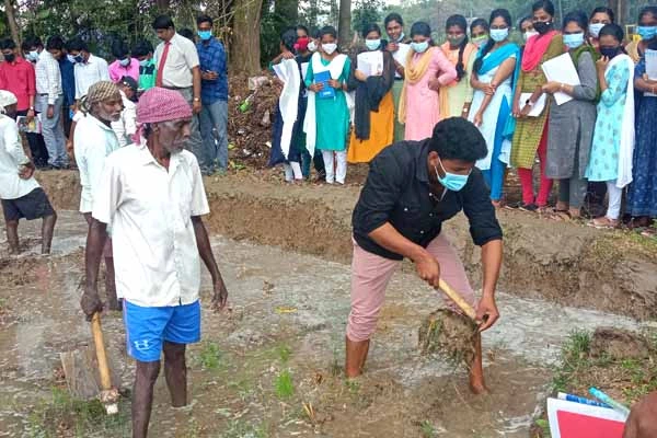 trimming and plastering of paddy field by the students