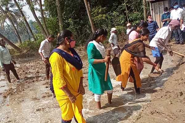 trimming and plastering of paddy field by the students